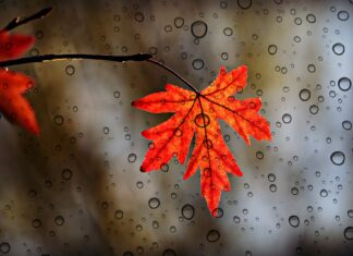 Was nie geschah in Kanada