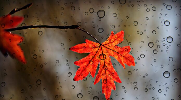 Was nie geschah in Kanada