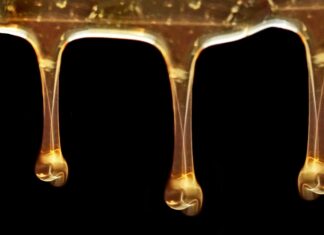 Twitter – Hormone, Honig und Pronomen