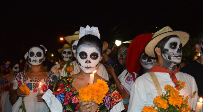 Von digitalen Maden und Nomaden