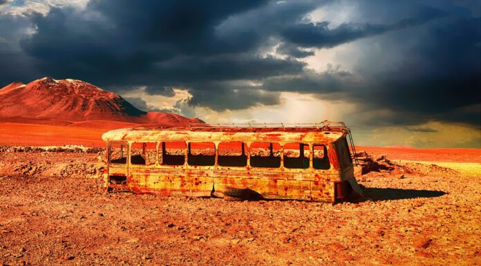 Man kann ja Bus fahren