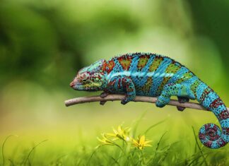 Blindverkostung im Veggieland