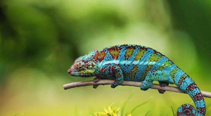 Blindverkostung im Veggieland