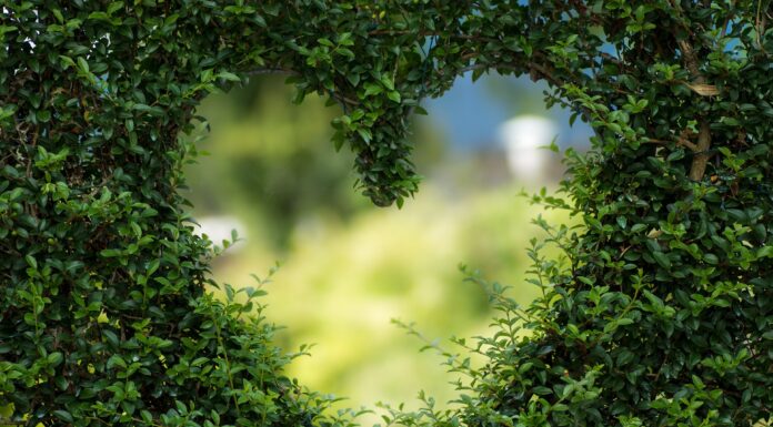 50 shades of green oder das Schweigen der Lemminge