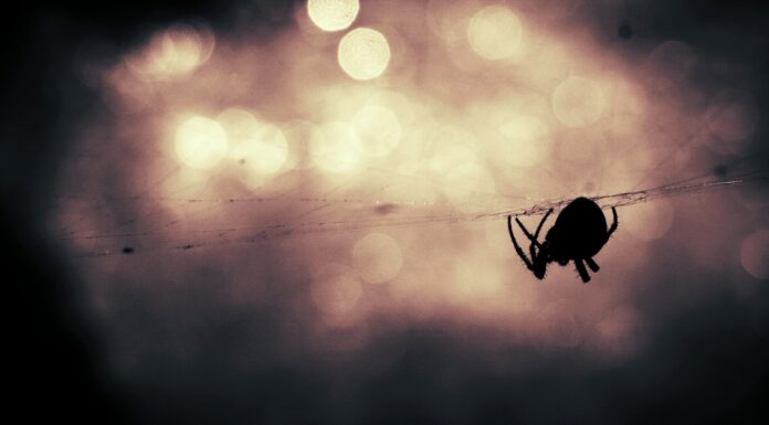 Sag zum Abschied leise „ich habe keine Ahnung, wovon ich da rede!“
