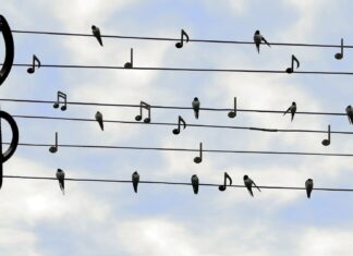 Sieben Tage der Verstörung