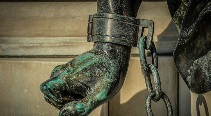 Danke für Ihre Netzdienlichkeit