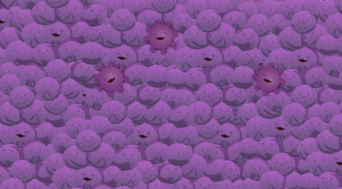 Gesteuerte Evolution