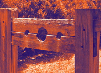 Inquisitorin Luisa Neubauer erklärt uns den Krieg