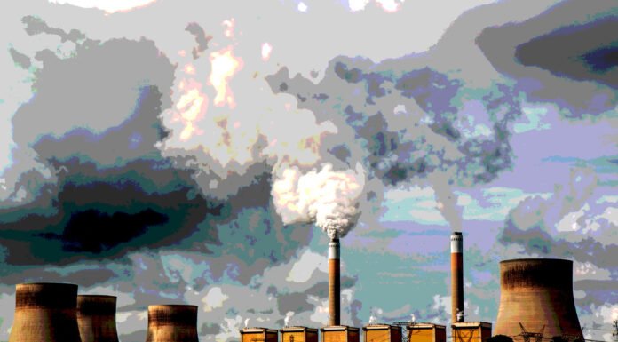 Viel Kohle: Al Gores Märchen-Fonds