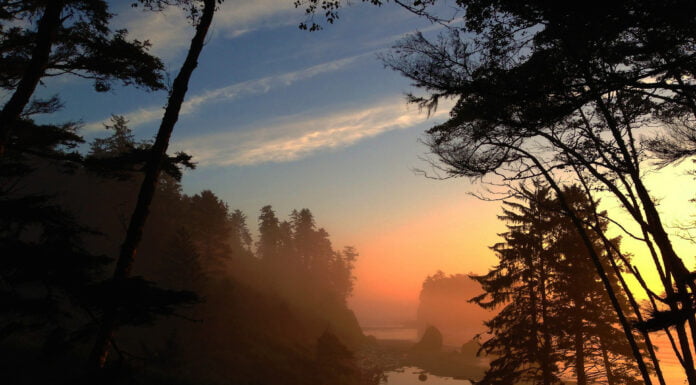 Olle Kamelle mit AK-47 im stillen Kämmerlein – wenn freie Journalisten frei drehen