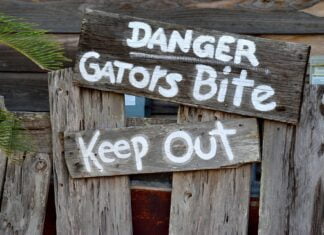 Alles neu macht der DeSantis