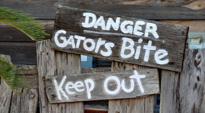 Alles neu macht der DeSantis