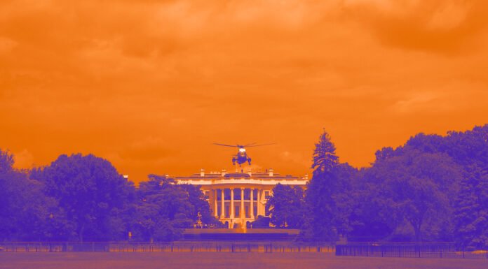 Biden-Wahlkampf: Stillhalten und am Leben bleiben