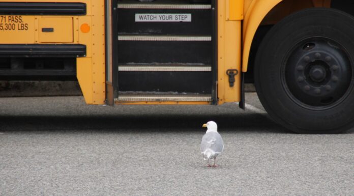 Rückzugsgefechte – Rollenwechsel bei Claudia Kemfert