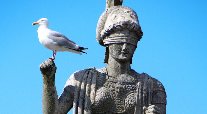 Die Gerichtshöfe der Moral kennen keine Prozessordung