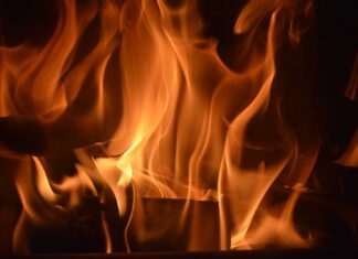 Kobold, Einhorn, Klimaleugner