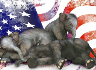 US-Wahlkampf: Der große Republikaner-Check