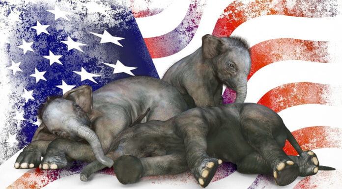 US-Wahlkampf: Der große Republikaner-Check