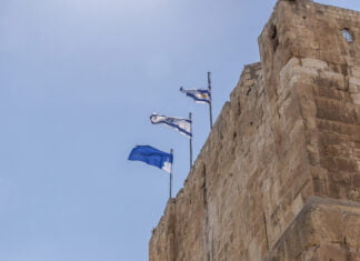 Stein im Magen, Kopf durch die Wand