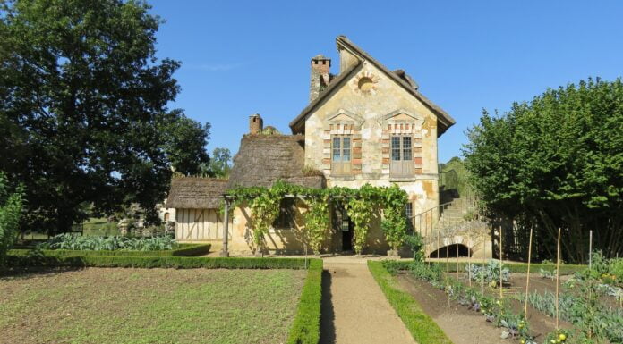 Ecovillage – vom Tod eines Einhorns