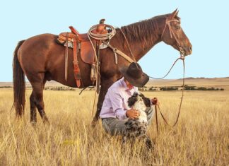 Kalt wie Hundeschnauze oder: Eine Kandidatin zerlegt sich selbst