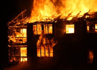 Harris-Vize Tim Walz: Der zuerst lacht