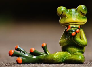 USAID-Fake News: Vom Quaken der Frösche im Sumpf