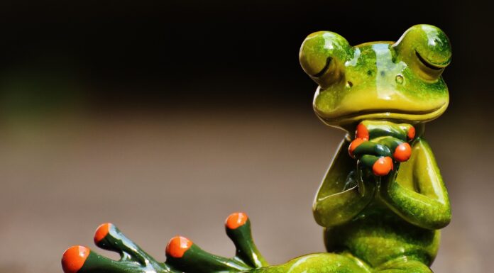 USAID-Fake News: Vom Quaken der Frösche im Sumpf